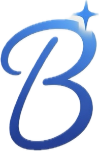 Bidoli IT Services Logo